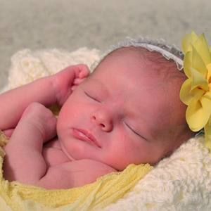 Meet your Posher, Missy